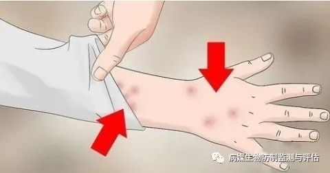 杀臭虫药排行榜_灭臭虫用什么药最好_灭臭虫的药