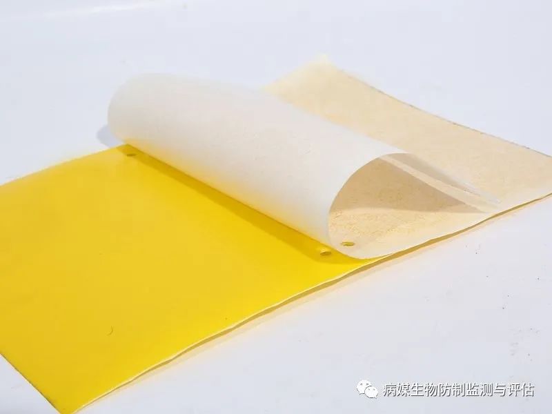 灭臭虫用什么药最好_杀臭虫药排行榜_灭臭虫的药
