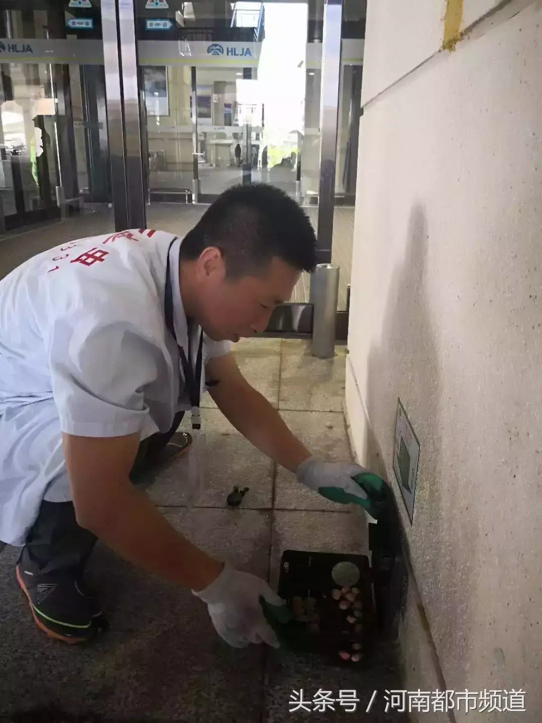灭老鼠药_灭老鼠的杀虫剂_灭老鼠的药特效药
