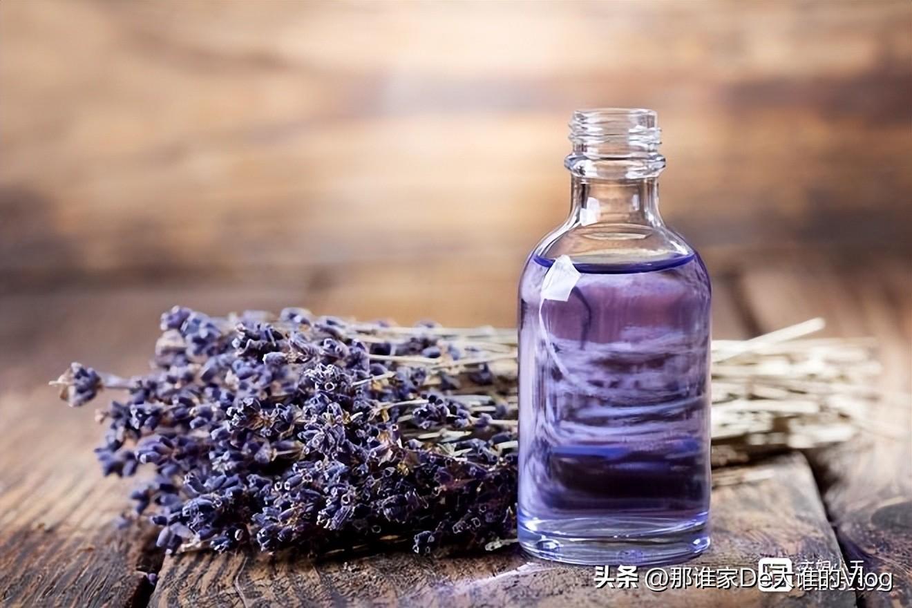 苍蝇怎样灭_苍蝇消灭苍蝇最好的办法_灭苍蝇方法