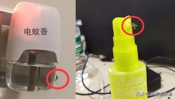 灭蚊子最好的产品_好的灭蚊产品_请问灭蚊子好用的东西有哪些