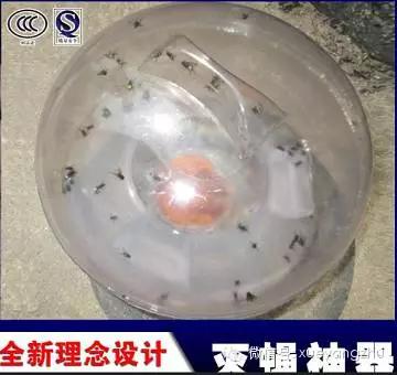 猪场灭苍蝇_猪舍灭苍蝇_猪圈杀苍蝇什么好