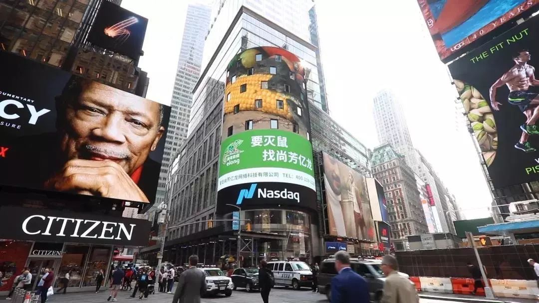 灭鼠公司_灭鼠公司上门收费标准_灭鼠公司收费明细