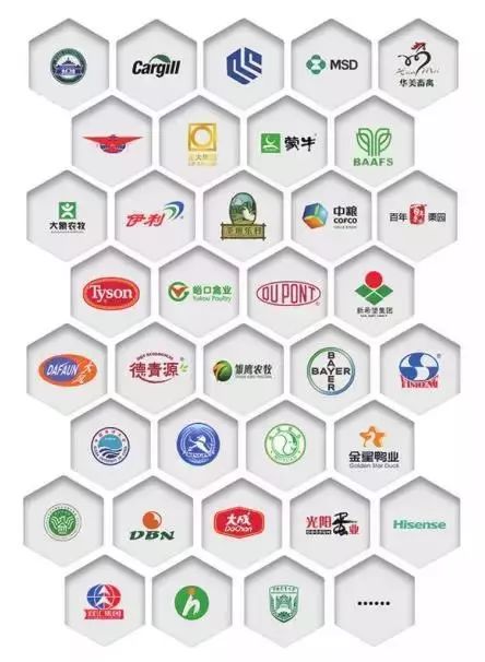 灭鼠公司上门收费标准_灭鼠公司收费明细_灭鼠公司