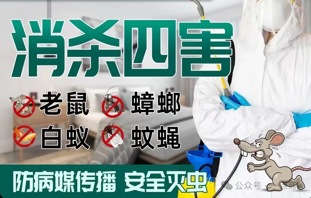 灭鼠公司电话_灭鼠公司_灭鼠公司收费明细