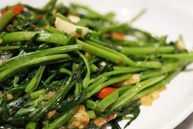 臭臭虫_臭虫为什么那么臭_臭臭虫子