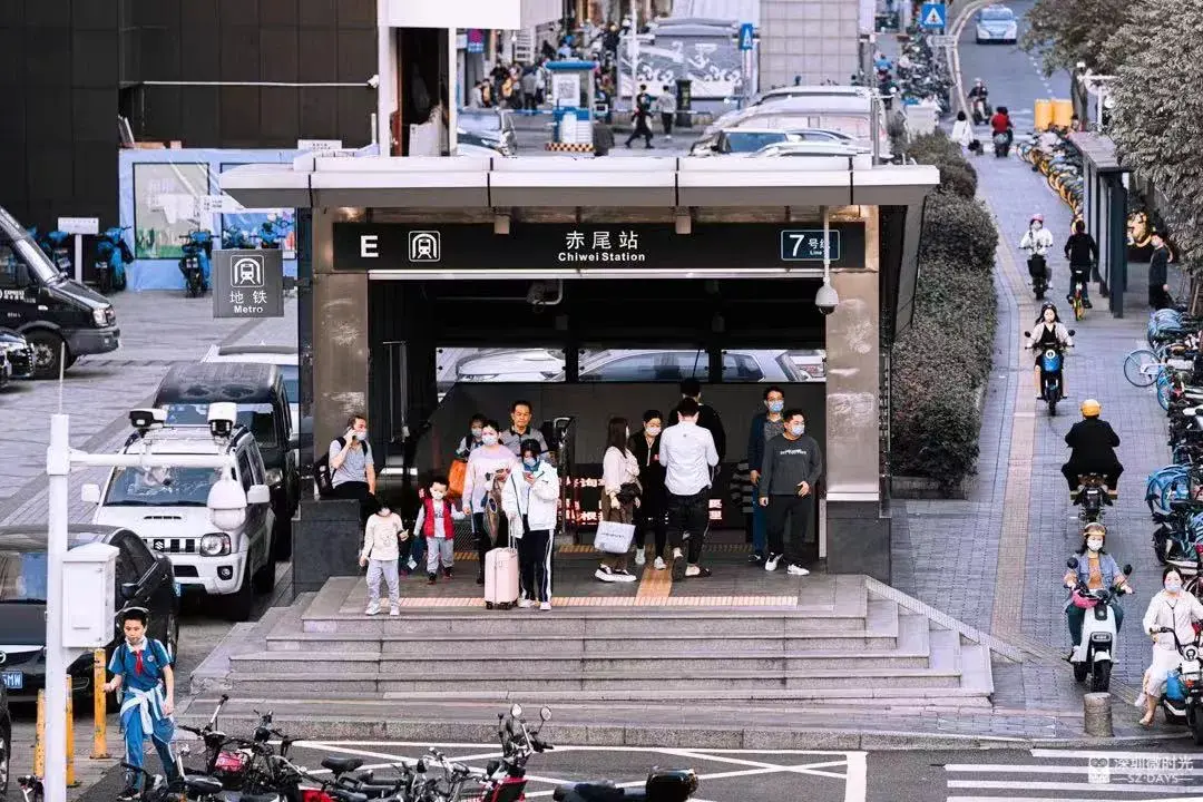 灭白蚁的公司_灭白蚁公司电话热线_灭白蚁公司多少钱一次