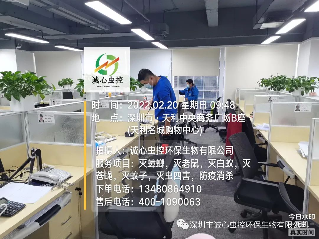 除臭虫最简单的方法_怎么除臭虫的味道_虫除臭简单方法图片